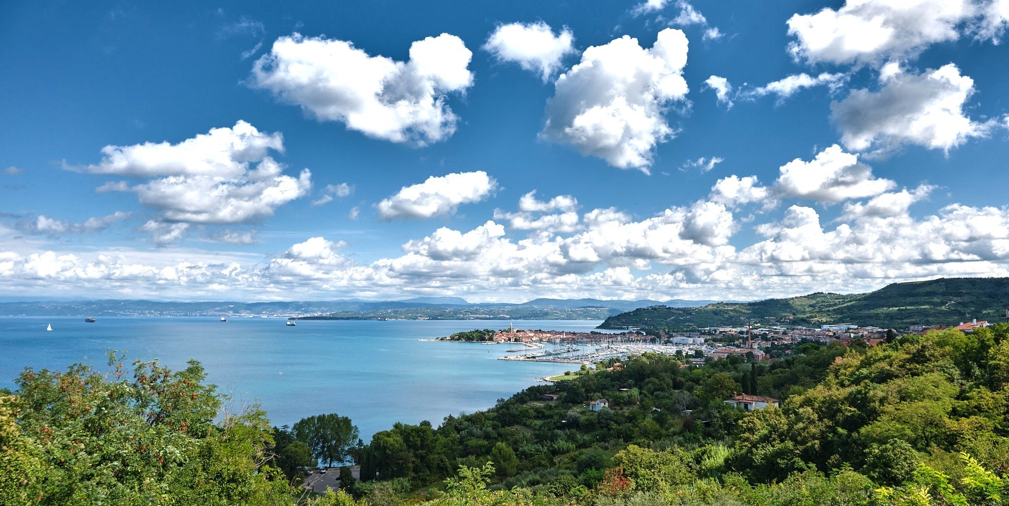 2025-09-01 11.57.55_V1